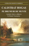 Pe drumuri de munte - Calistrat Hogas