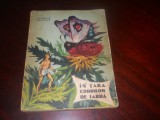 IN TARA CODRILOR DE IARBA - VLADIMIR BRAGHIN , 1962