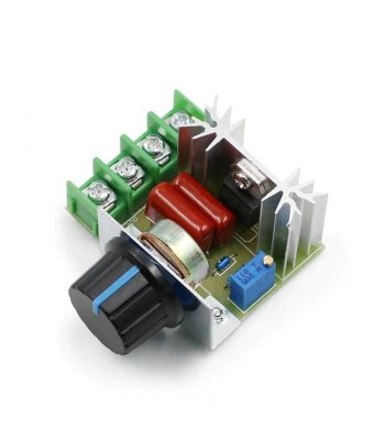 Dimmer de tensiune 220V 2000W foto