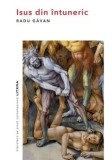Isus din intuneric/Radu Gavan