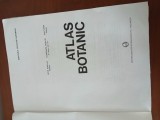 Atlas Botanic-Lucia Popovici., ALL