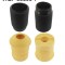 SKF VKDP 33800 T chit protectie praf,amortizor