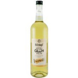 Vin de Mere cu Mirodenii si Caramel 5.4% Alcool 750 mililitri Hitzkopf Cod: BW90040031