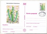 Bnk cp Cactusi - necirculata - marca fixa - stampila prima zi - 022/97