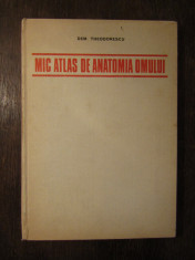 MIC ATLAS DE ANATOMIA OMULUI -DEM.THEODORESCU ,1982 foto