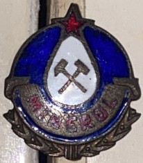 MINERUL PETROSANI/INSIGNA VECHE DE COLECTIE(20x18 mm.)/ EMAIL FRUMOS