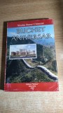 Nicolae Bucur Chinezul (autograf) - Buchet aniversar (Editura Unirea, 2009)