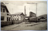 P.074 CARTE POSTALA AZUGA FABRICA DE CIMENT VARIANTA 2, Necirculata, Printata