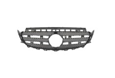 Grila radiator Mercedes Clasa E (W213), 03.2016-2024, montare fata, fara gaura camera; intern, RapidAuto