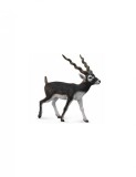 Figurina pictata manual Antilopa Blackbuck