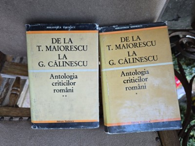 De la T. Maiorescu la G. Călinescu 2 volime foto