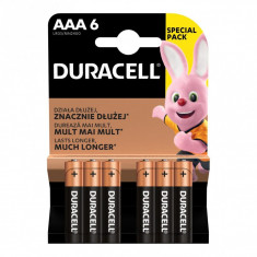 Set 2 baterii Basic AAA Duracell, LR03 foto