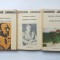ARMAND CALINESCU- INSEMNARI POLITICE + GRIGORE GAFENCU + MONICA LOVINESCU - UNDE SCURTE