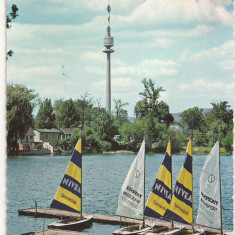 AT1 -Carte Postala-AUSTRIA-Viena, Alte Donau , circulata 1967