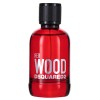 Dsquared Red Wood Tester EDT 100 ml, Dsquared2