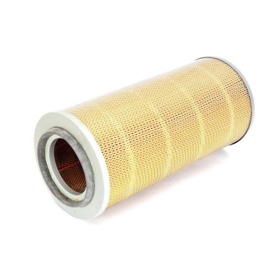 Filtru aer motor Avia foto