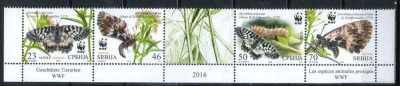 SERBIA 2016 WWF FAUNA PROTEJATA FLUTURI foto
