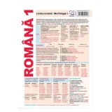 Plansa Romana 1. Limba romana: Morfologia 1