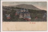 Carte postala circulata in anul 1908 Judetul Neamt
