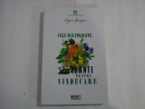 CELE MAI FOLOSITE 17 PLANTE PENTRU VINDECARE - EUGEN GIURGIU