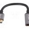Adaptor LANBERG DisplayPort la HDMI 0,2m aluminiu argintiu
