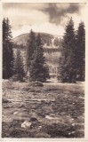 Sectia Sebes Alba. Raul mare cu Surian (circulata 1939)