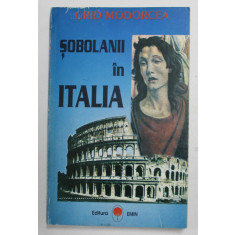 SOBOLANII IN ITALIA - BIBLIA TRANSFUGULUI , roman de GRID MODORCEA , 1995, COPERTA CU MICI URME DE UZURA