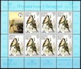 BELARUS 2003, Fauna, Pasari, serie neuzata, MNH, Nestampilat