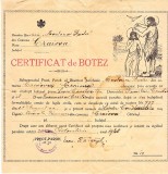 QW13 12 - 1946 - Certificat de botez - Parohia Craiova - Plasa Craiova
