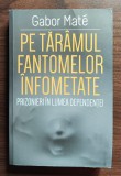 Gabor Mate - Minti imprastiate