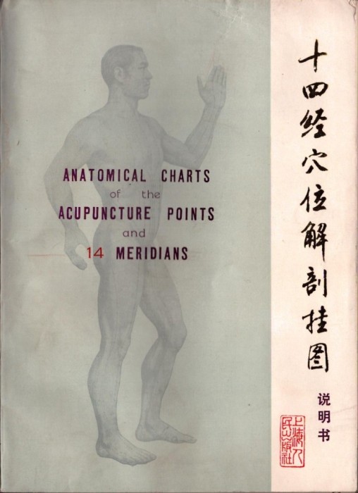 PM385N Anatomical charts of the acupuncture points and 14 meridians ...