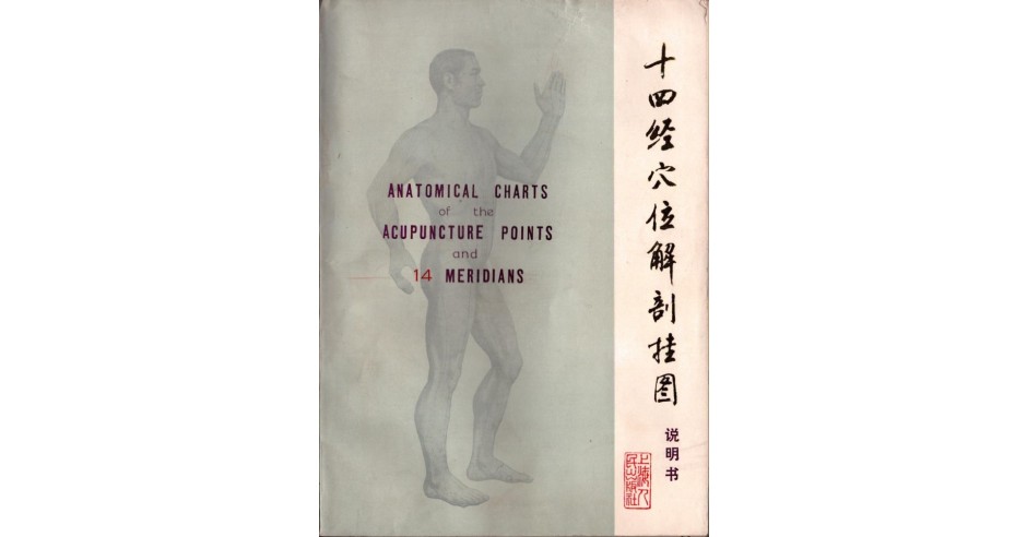 PM385N Anatomical charts of the acupuncture points and 14 meridians ...