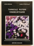 Stare fosrte buna, Tatainicile puteri vindecatoare, Lidia Birsan Barsan, Vasile Stratulat, rara, cu ilustratii, spiritualitate, vindecare, traume,
