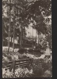 CPIB 22423 - CARTE POSTALA - VEDERE DIN BAZNA