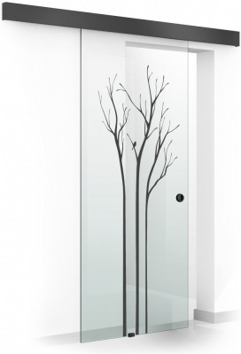 Usa culisanta Boss &amp;reg; Black, model Peace negru, 85x215 cm, sticla 8 mm Gri securizata, glisanta in ambele directii foto