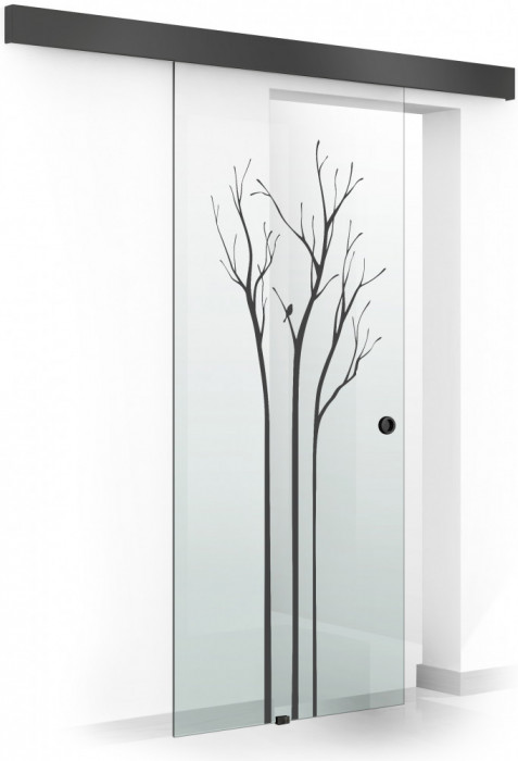 Usa culisanta Boss &reg; Black, model Peace negru, 85x215 cm, sticla 8 mm Gri securizata, glisanta in ambele directii