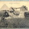 AD 705 C. P. VECHE- LA CAIRE(CAIRO) - BASSINS ET PYRAMIDES