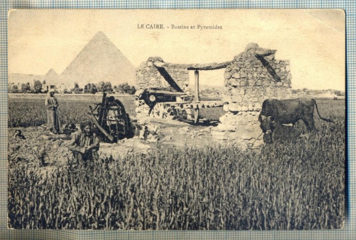 AD 705 C. P. VECHE- LA CAIRE(CAIRO) - BASSINS ET PYRAMIDES