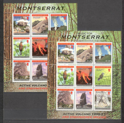 Montserrat.1997 Eruptia vulcanului Soufriere:Pasari amenintate-coli mici PD.55 foto