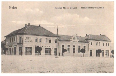 SV * Hateg * Hunedoara * HOTELUL MIELUL DE AUR foto