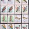 DB1 Fauna Pasari Ungaria 1968 8v. Nedantelate MNH