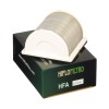 Element filtrant HFA4909, Hiflo Filtro