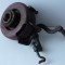 APARAT, MASINA MANUALA DE LUSTRUIT, POLISAT. RITTER PATENT Nr 10