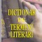 AS - SILVIAN FLOAREA - DICTIONAR DE TERMENI LITERARI
