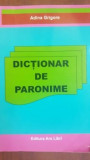 Dictionar de paronime - Adina Grigore