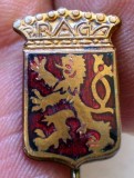 I.900 INSIGNA CEHOSLOVACIA STICKPIN PRAGA h16mm email, Europa