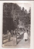 RF176 - Carte Postala - Slanic Moldova. La izvoare, necirculata