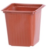 Ghiveci patrat pentru rasaduri Strend Pro 8x8x8 cm, set 10 buc