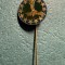 Insigna LAR subdiviziune tip pin
