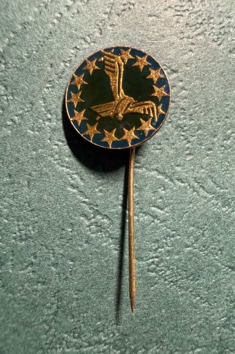 Insigna LAR subdiviziune tip pin